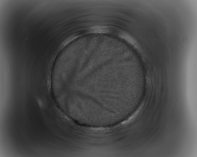 X0000087561025200705251756