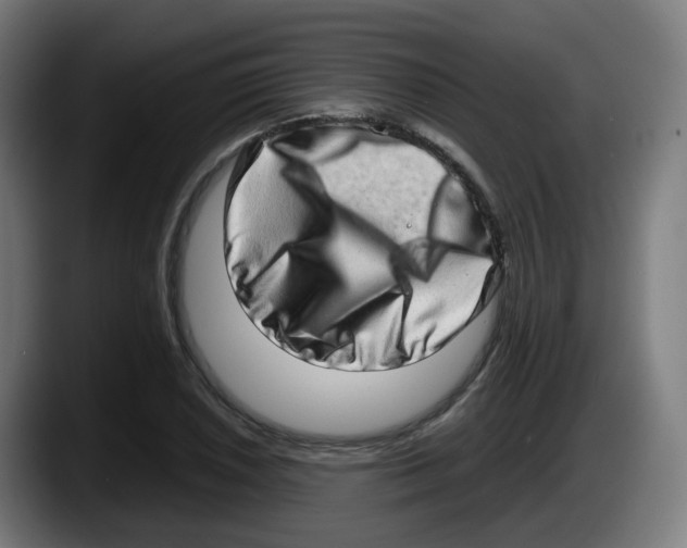 X0000087561026200705251756