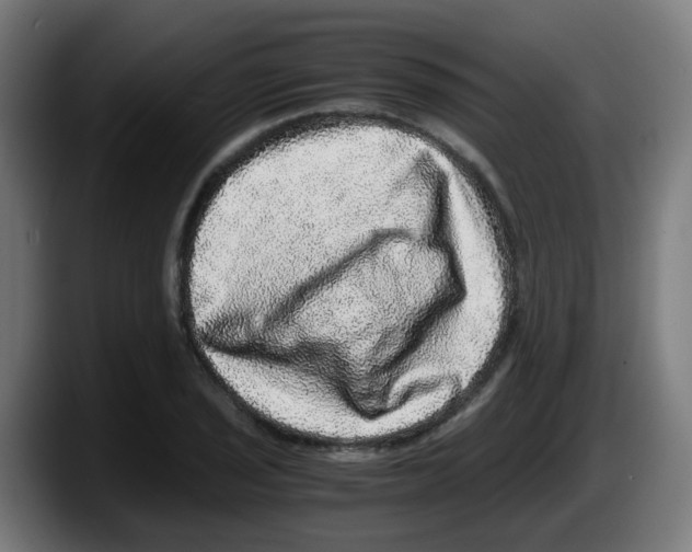 X0000087561029200705251756