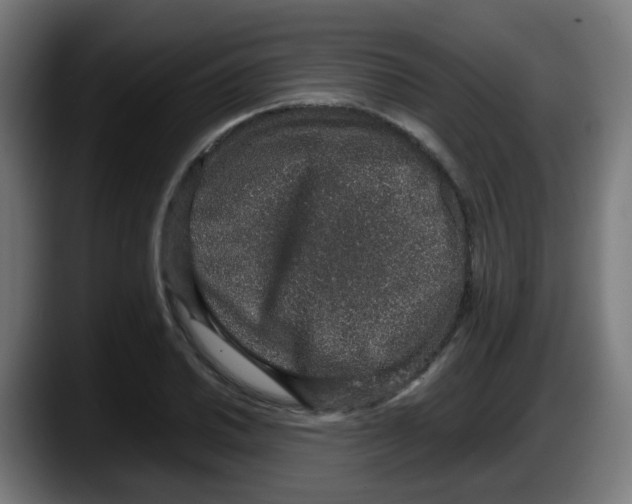 X0000087561030200705251756