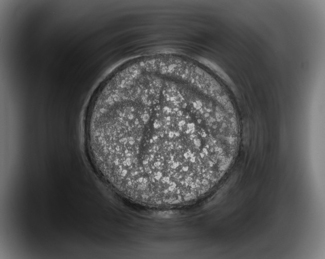 X0000087561031200705251756