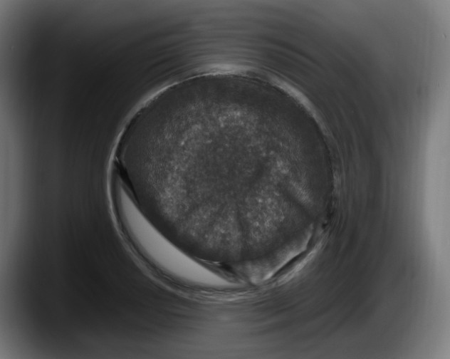 X0000087561034200705251756