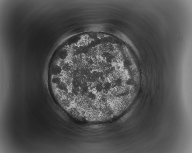 X0000087561035200705251756