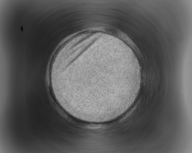 X0000087561036200705251756