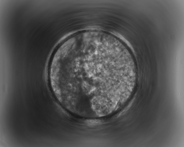 X0000087561037200705251756