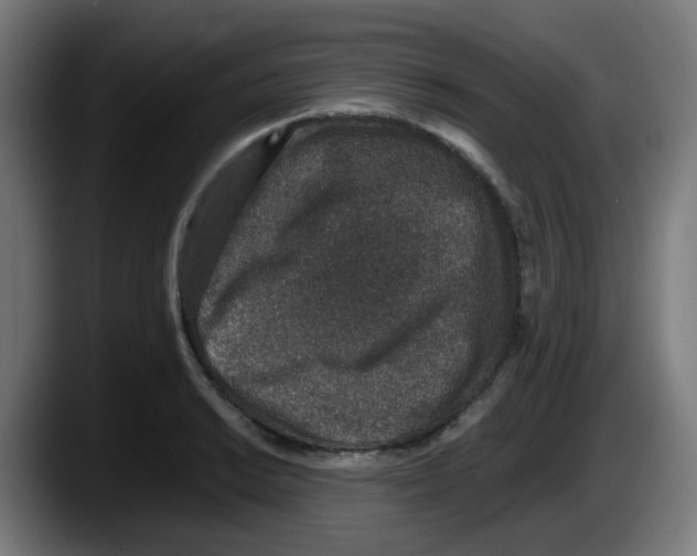 X0000087561038200705251756