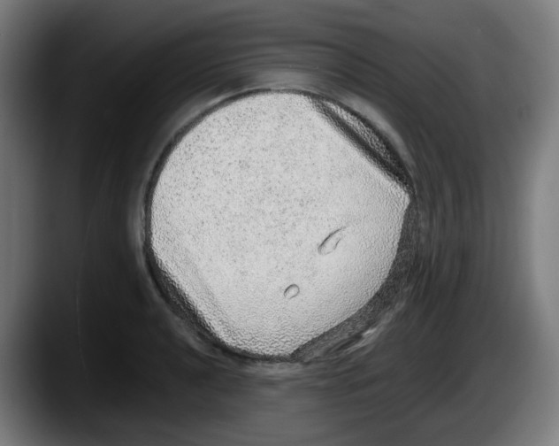 X0000087561040200705251756