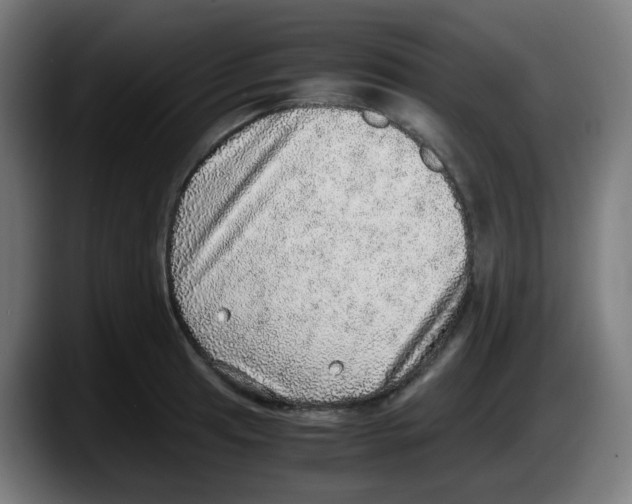 X0000087561041200705251756