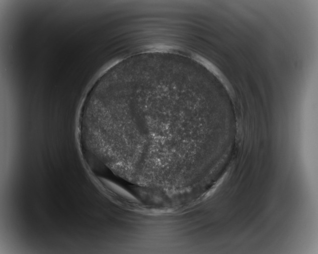 X0000087561042200705251756
