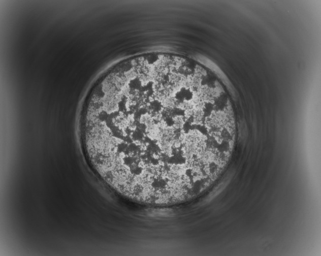 X0000087561043200705251756