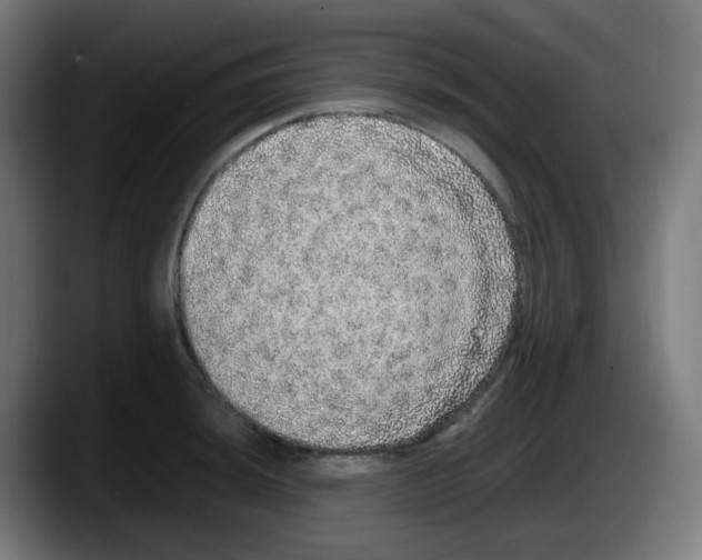 X0000087561044200705251756