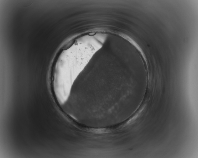 X0000087561045200705251756
