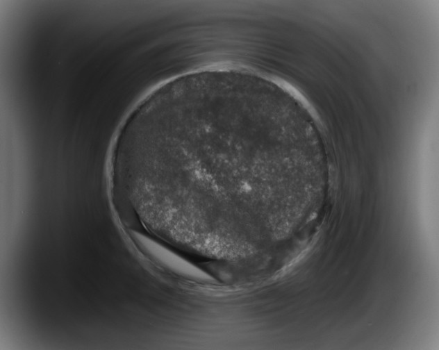 X0000087561046200705251756