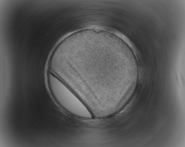 X0000087561048200705251756