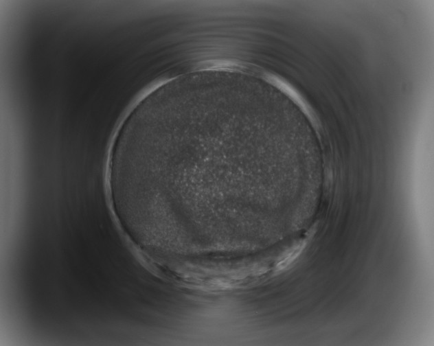 X0000087561050200705251756