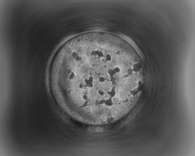 X0000087561051200705251756