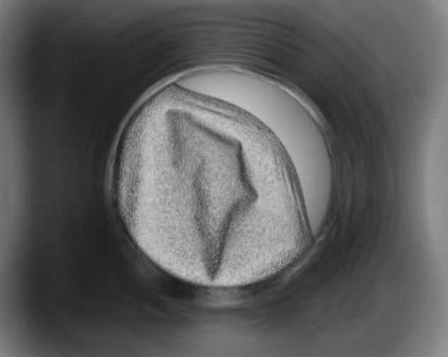 X0000087561052200705251756