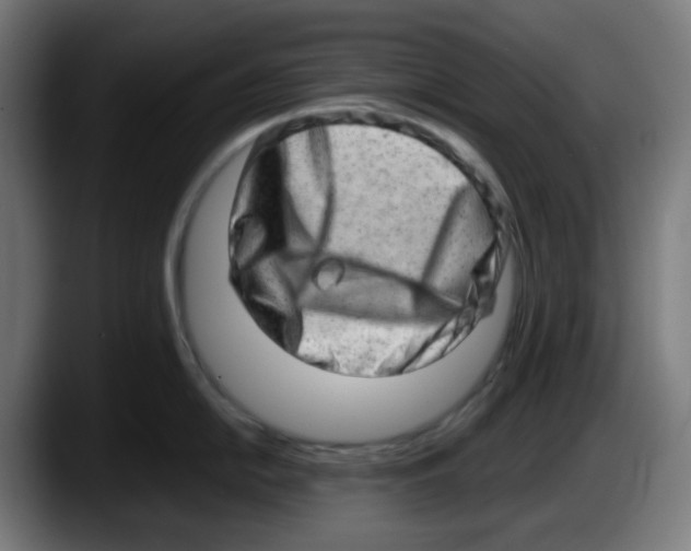 X0000087561054200705251756