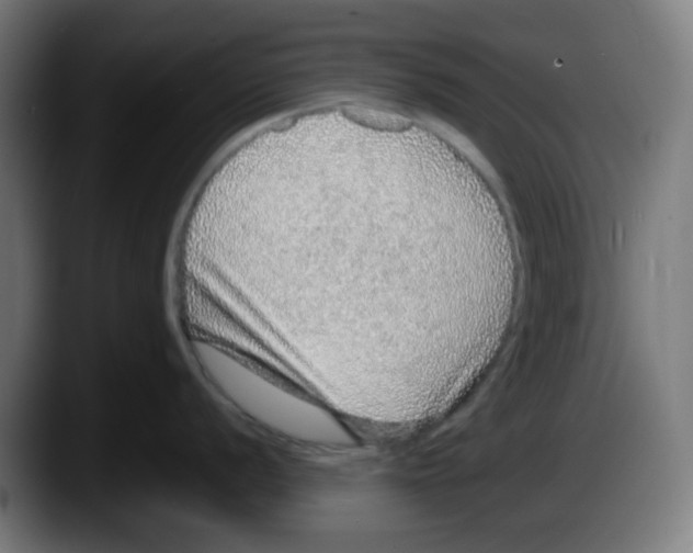 X0000087561056200705251756
