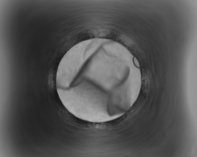 X0000087561058200705251756