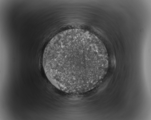 X0000087561060200705251756