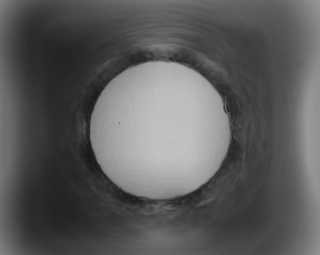 X0000087561061200705251756