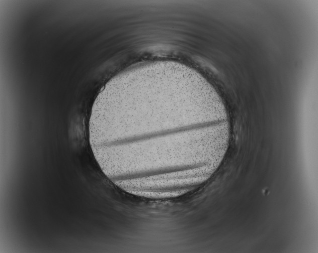 X0000087561062200705251755