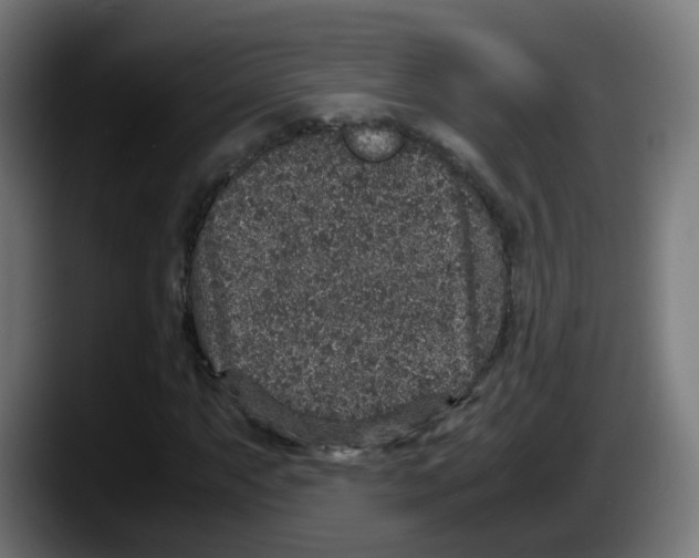 X0000087561063200705251755