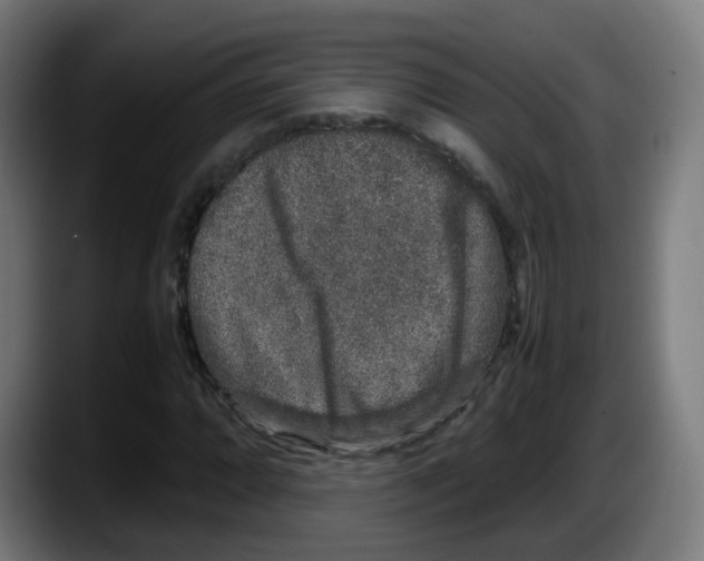 X0000087561064200705251755