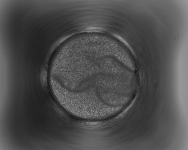 X0000087561066200705251755