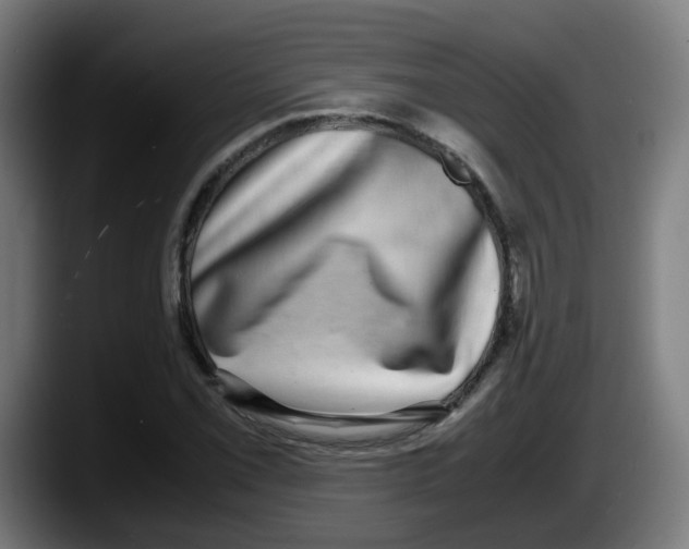 X0000087561069200705251755