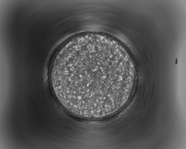X0000087561070200705251755