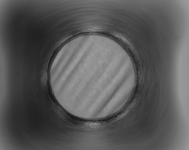 X0000087561073200705251755