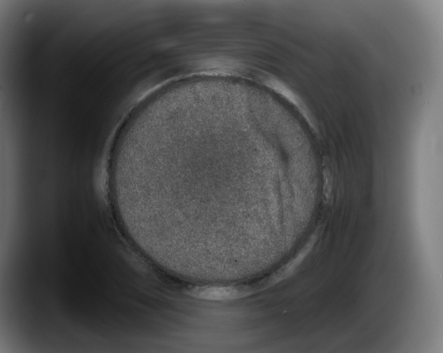 X0000087561074200705251755