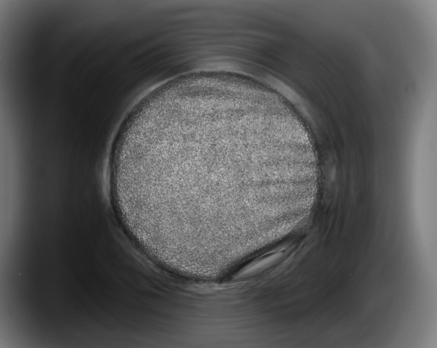 X0000087561076200705251755