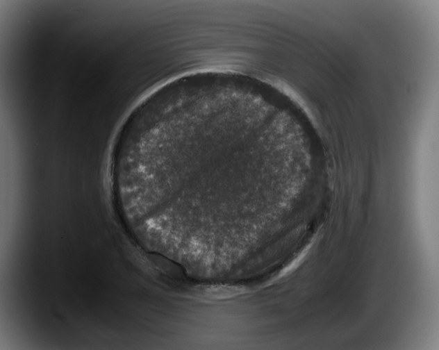 X0000087561077200705251755