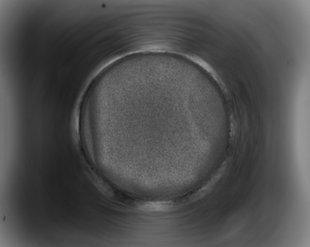 X0000087561078200705251755