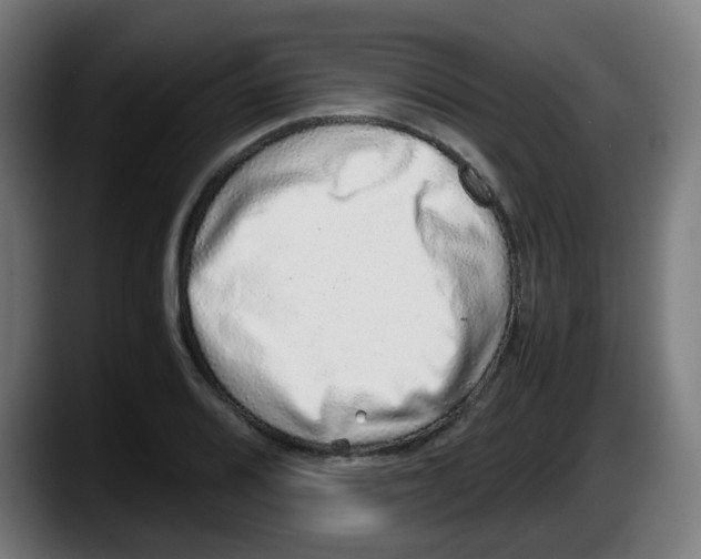 X0000087561080200705251755