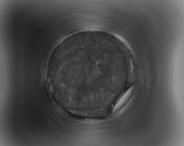 X0000087561081200705251755