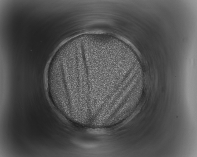 X0000087561083200705251755