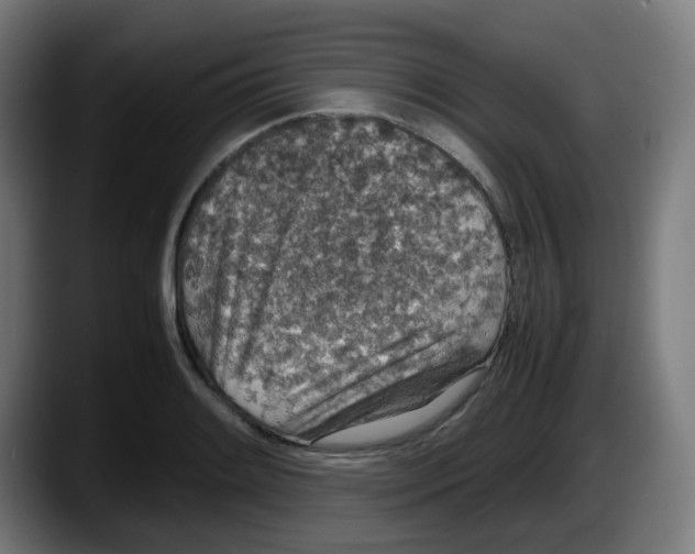 X0000087561084200705251755