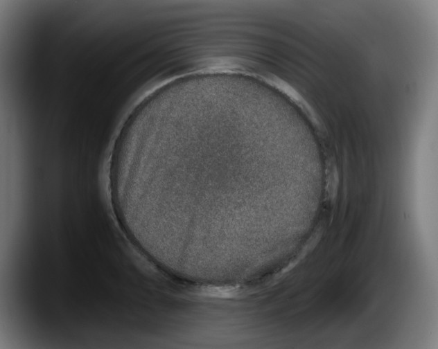 X0000087561086200705251755