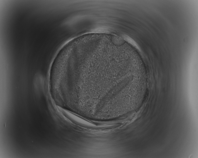 X0000087561087200705251755
