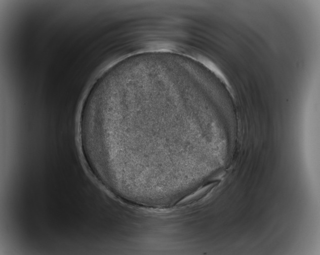 X0000087561088200705251755