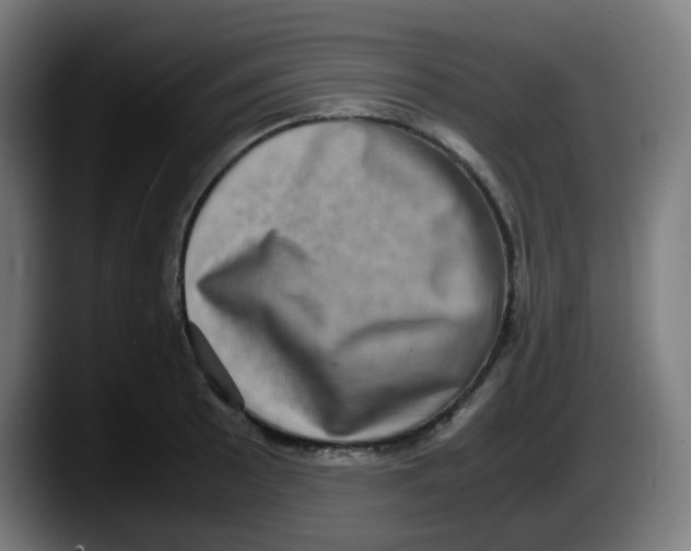 X0000087561089200705251755