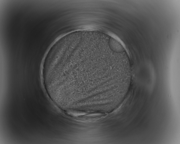 X0000087561091200705251755