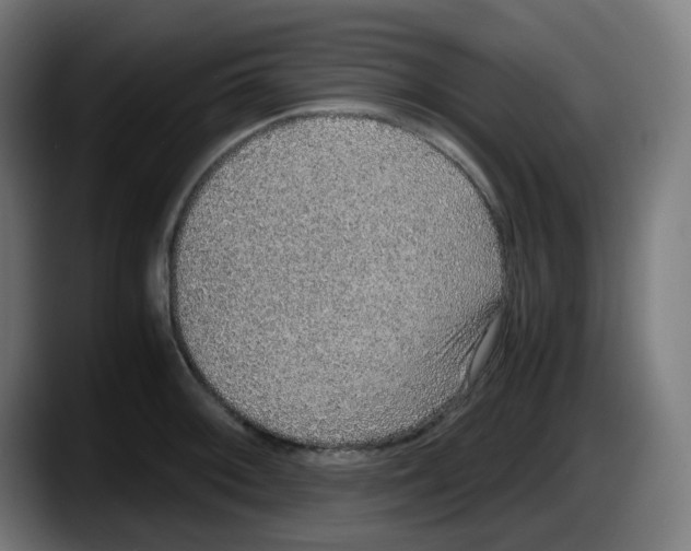 X0000087561092200705251755