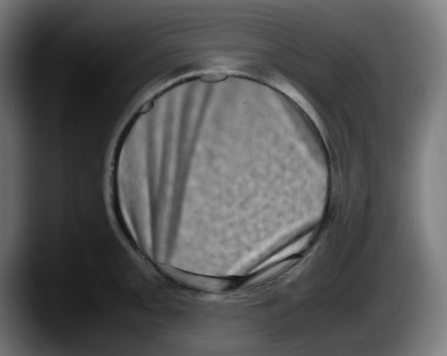 X0000087561093200705251755