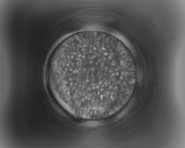 X0000087561094200705251755