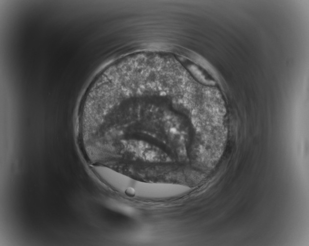 X0000087561095200705251755